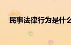 民事法律行为是什么意思 民事法律行为 