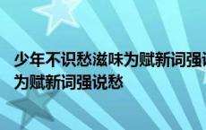 少年不识愁滋味为赋新词强说愁是什么意思 少年不识愁滋味为赋新词强说愁 