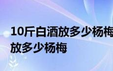 10斤白酒放多少杨梅要多大的容器 10斤白酒放多少杨梅 