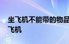 坐飞机不能带的物品清单 什么东西不能带上飞机 