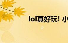 lol真好玩! 小说 lol真好玩 