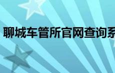 聊城车管所官网查询系统 聊城市网上车管所 