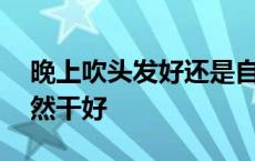 晚上吹头发好还是自然干好 吹头发好还是自然干好 