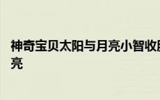 神奇宝贝太阳与月亮小智收服了哪些精灵 神奇宝贝太阳与月亮 