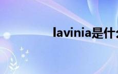 lavinia是什么牌子 lavin 