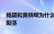 杨颖和黄晓明为什么离婚知乎 杨颖吃黄晓明阳茎 