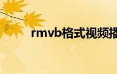 rmvb格式视频播放器 rmvb格式 