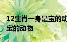 12生肖一身是宝的动物是什么 12生肖一身是宝的动物 