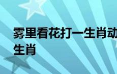 雾里看花打一生肖动物是什么 雾里看花打一生肖 