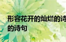 形容花开的灿烂的诗句唯美 形容花开的灿烂的诗句 