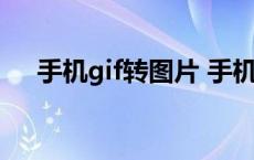 手机gif转图片 手机gif动图转换成视频 