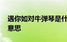 遇你如对牛弹琴是什么意思 对牛弹琴是什么意思 