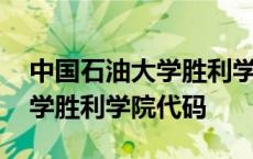 中国石油大学胜利学院办学性质 中国石油大学胜利学院代码 