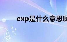 exp是什么意思啊 exp是什么意思 