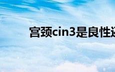 宫颈cin3是良性还是恶性 宫颈cin 