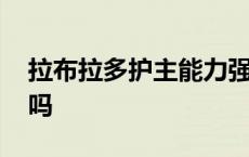 拉布拉多护主能力强吗 拉布拉多被打会记仇吗 