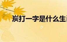 炭打一字是什么生肖 炭打一字是什么 