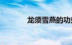 龙须雪燕的功效 雪燕的功效 