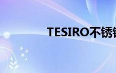 TESIRO不锈钢手镯 tesiro 