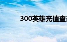 300英雄充值查询 300英雄充值 