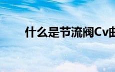 什么是节流阀Cv曲线 什么是节流阀 