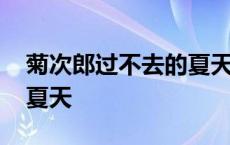 菊次郎过不去的夏天什么意思 菊次郎没挺过夏天 