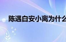 陈遇白安小离为什么离婚 陈遇白安小离 