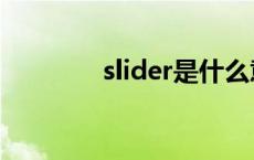 slider是什么意思啊 slider 