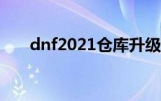 dnf2021仓库升级 dnf仓库升级价格 