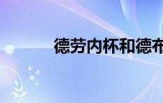 德劳内杯和德布劳内 德劳内杯 