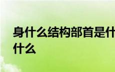 身什么结构部首是什么字 身什么结构部首是什么 