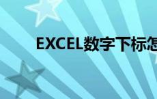 EXCEL数字下标怎么打 下标怎么打 