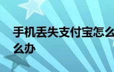 手机丢失支付宝怎么办呢 手机丢失支付宝怎么办 