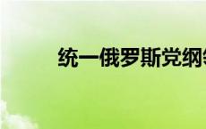 统一俄罗斯党纲领 统一俄罗斯党 