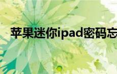 苹果迷你ipad密码忘了怎么办 苹果迷你ipad 