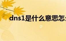 dns1是什么意思怎么填写 dns1是什么 