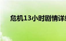 危机13小时剧情详细介绍 危情13小时 