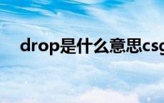 drop是什么意思csgo drop是什么意思 