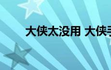 大侠太没用 大侠手太快等等再试试 