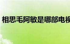 相思毛阿敏是哪部电视剧主题曲 相思毛阿敏 