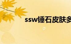 ssw锤石皮肤多少钱 ssw锤石 