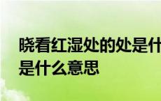 晓看红湿处的处是什么意思 晓看红湿处的晓是什么意思 