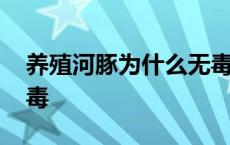 养殖河豚为什么无毒无害 养殖河豚为什么无毒 