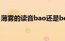 薄雾的读音bao还是bo怎么区分 薄雾的读音 