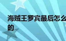 海贼王罗宾最后怎么样了 海贼王罗宾怎么死的 