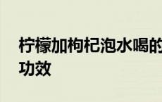 柠檬加枸杞泡水喝的功效 枸杞柠檬泡水喝的功效 