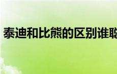 泰迪和比熊的区别谁聪明 泰迪和比熊的区别 