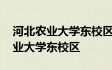 河北农业大学东校区图书馆建筑结构 河北农业大学东校区 