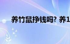 养竹鼠挣钱吗? 养100对竹鼠投资多少 