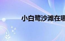 小白鹭沙滩在哪里 小白鹭沙滩 